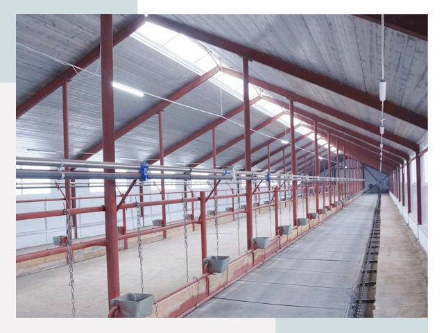 Строительство коровников в Ульяновске от 617 руб.