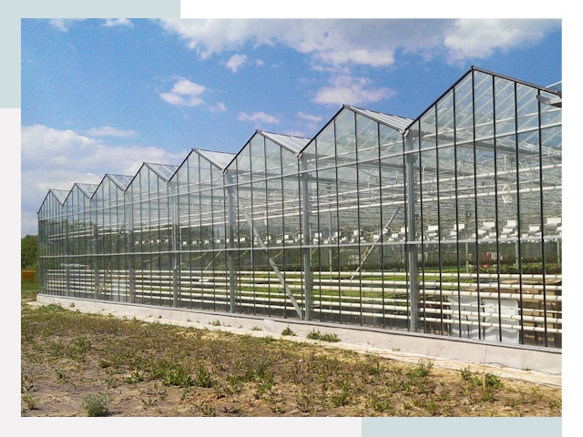Строительство теплиц в Ульяновск от 617 руб. за м²